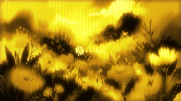 Digitalism for Affinity: Amber