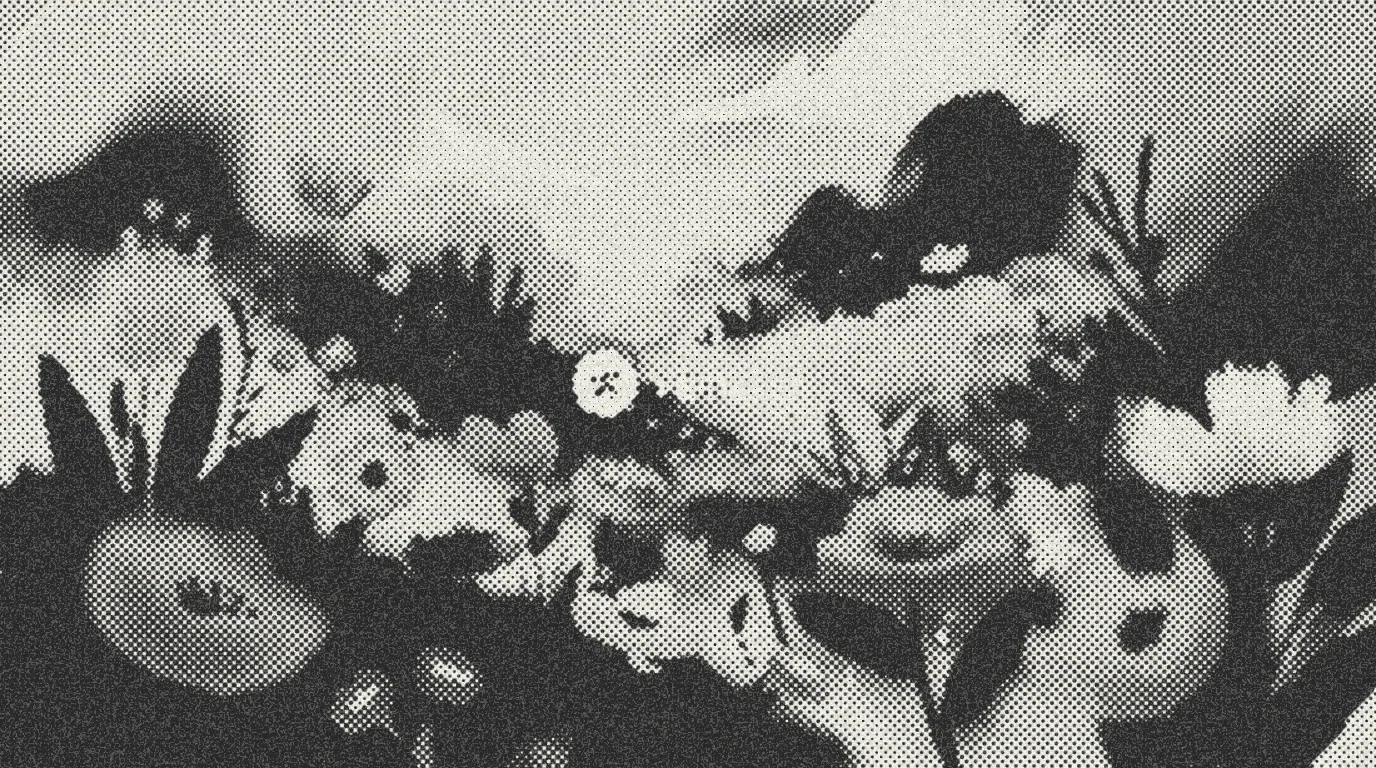 After: Halftone Dots for Affinity